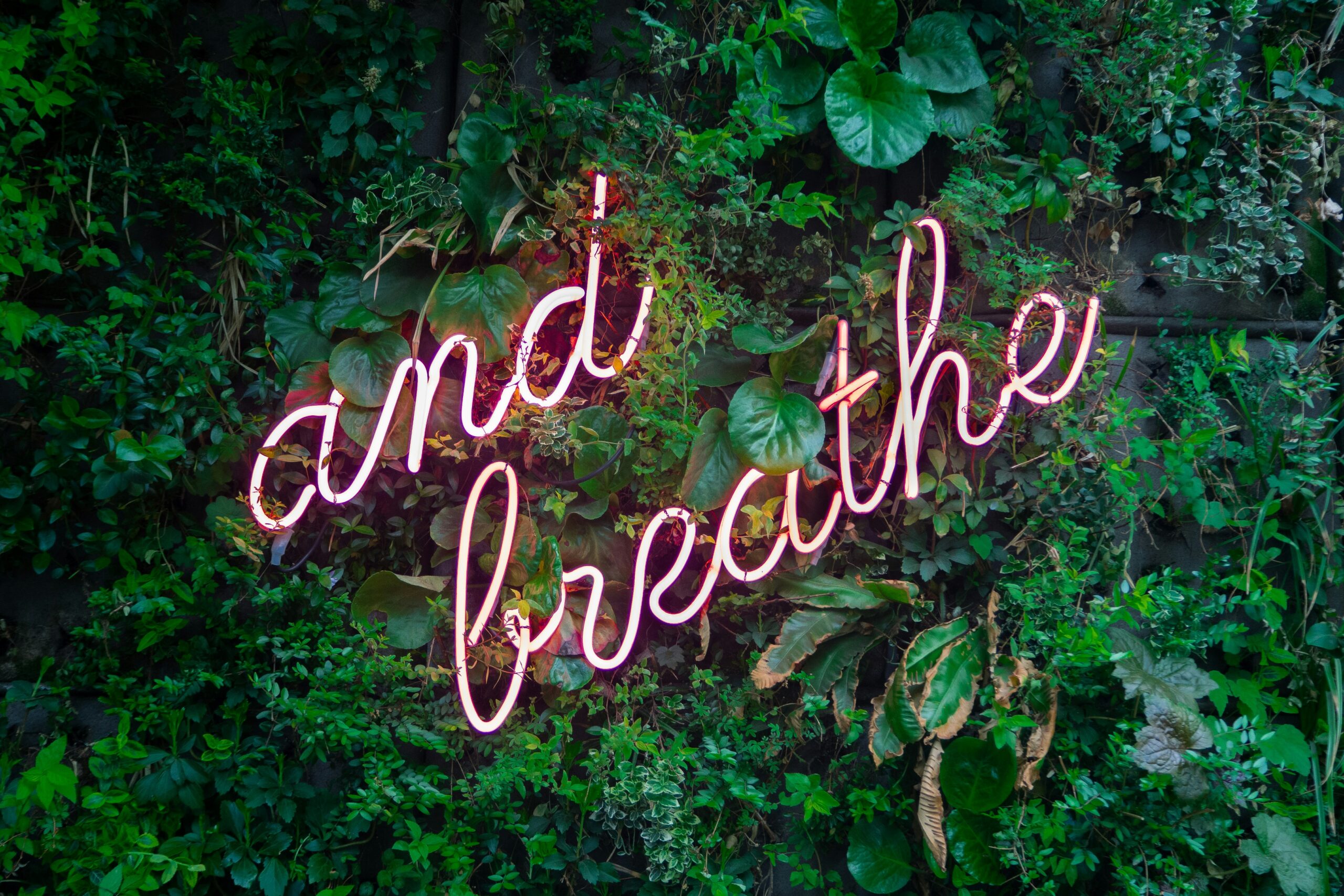 Pink neon sign reading "and breathe" on a green plant wall.