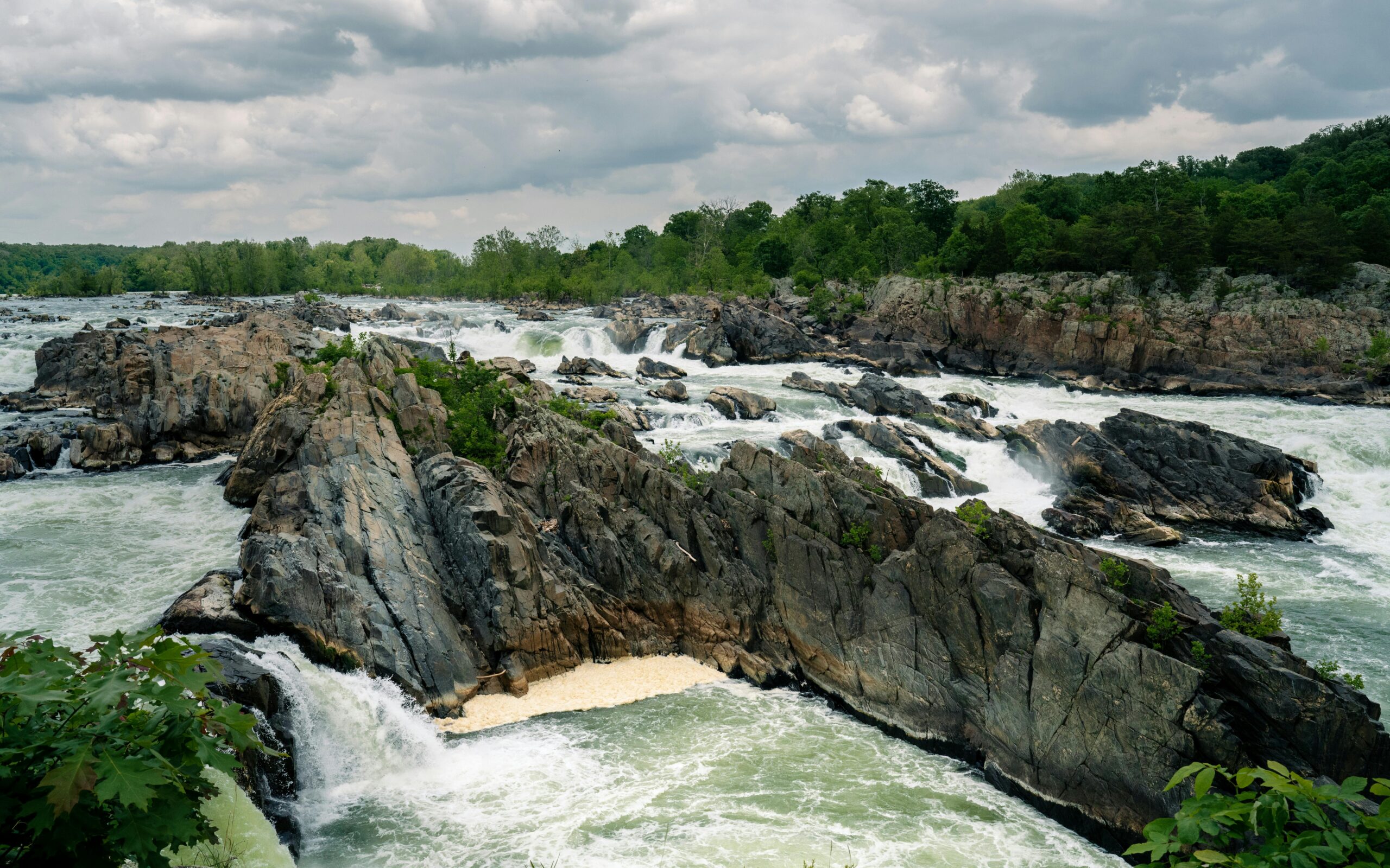 Rainy day at Great Falls with flowing water and wet rocks.