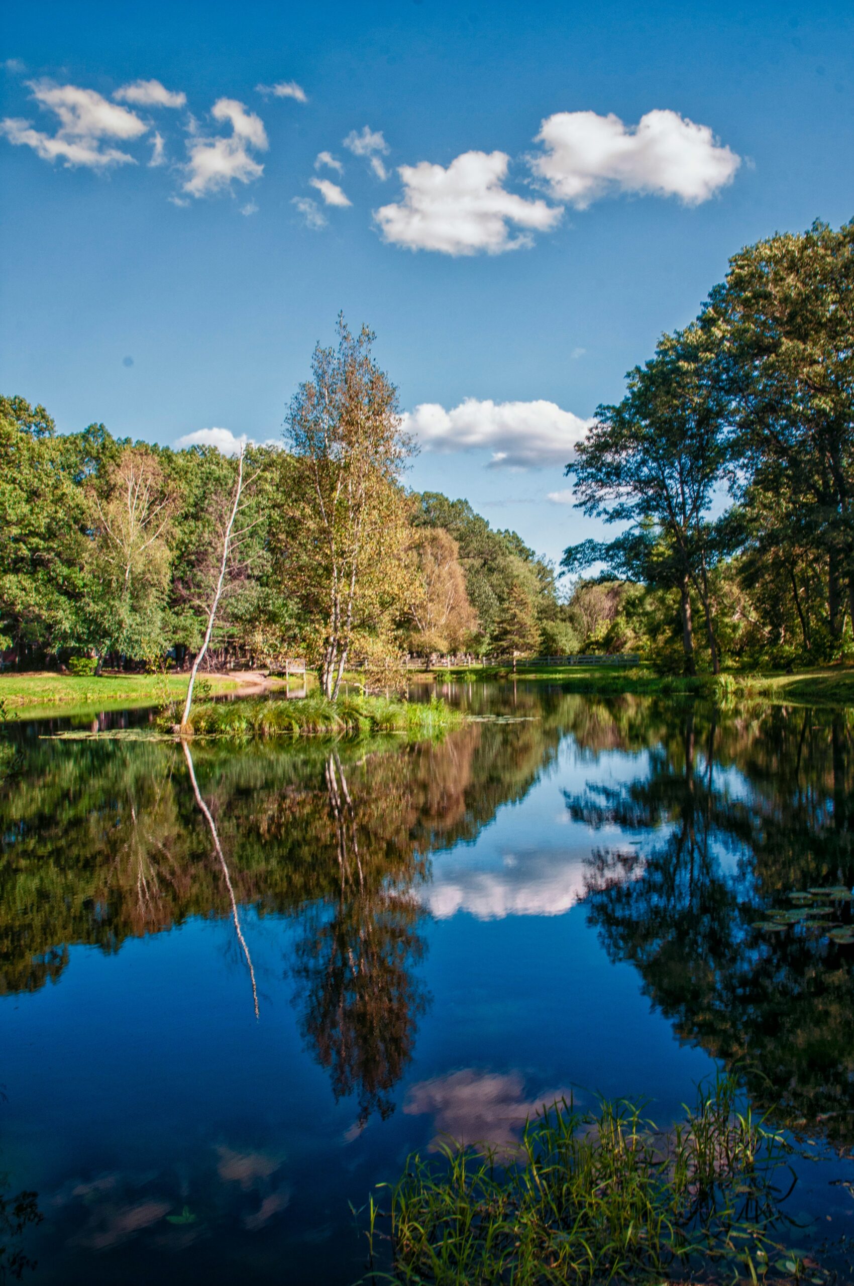 Scenic river in Virginia with tree-lined banks.